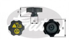 Image for Radiator Cap