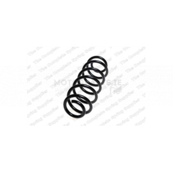 Image for Coil Spring