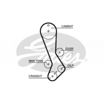 Image for Timing Belt