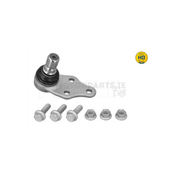 Image for Ball Joint