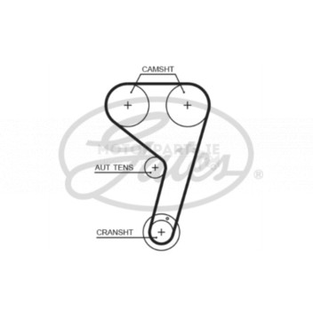 Image for Timing Belt
