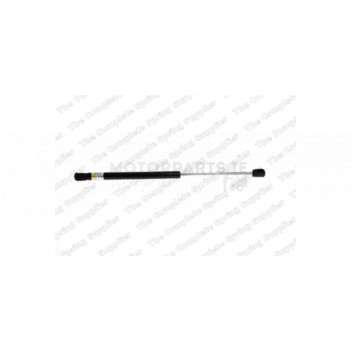Image for Gas Spring