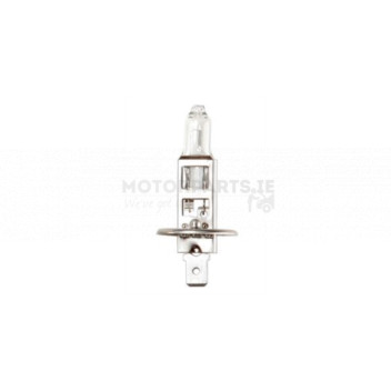 Image for Head Light