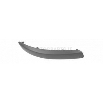 Image for Bumper Moulding