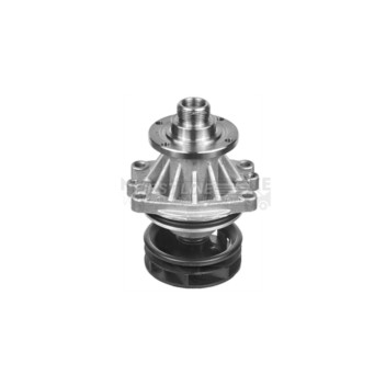 Image for Water Pump