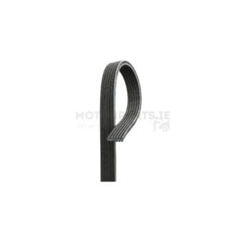 Image for Drive Belt