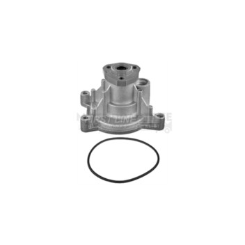 Image for Water Pump