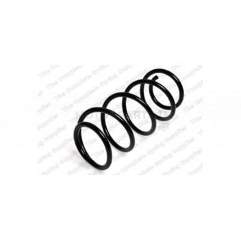 Image for Coil Spring