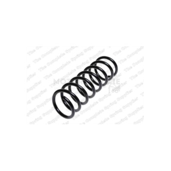 Image for Coil Spring