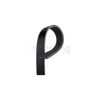 Image for Drive Belt