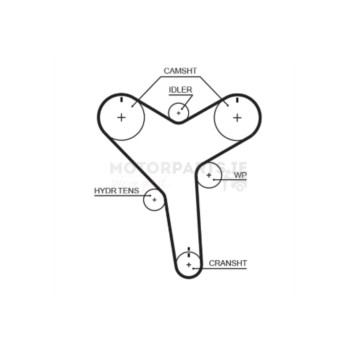 Image for Timing Belt
