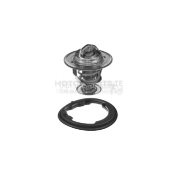 Image for Thermostat