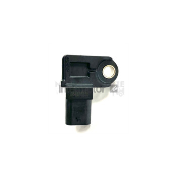 Image for Map Sensor