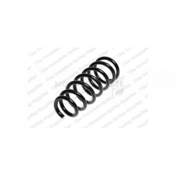 Image for Coil Spring