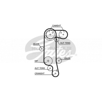Image for Timing Belt