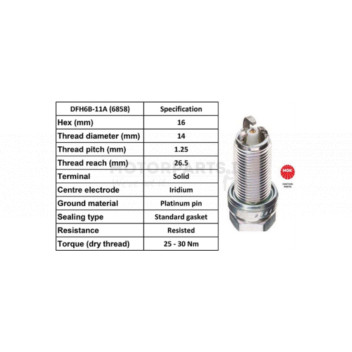 Image for Spark Plug