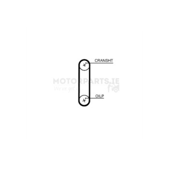 Image for Timing Belt
