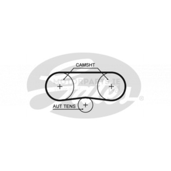 Image for Timing Belt