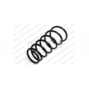 Image for Coil Spring