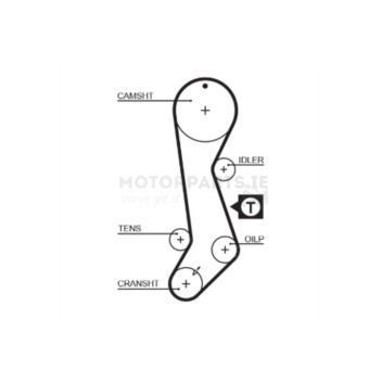 Image for Timing Belt