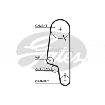 Image for Timing Belt