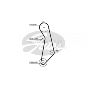Image for Timing Belt