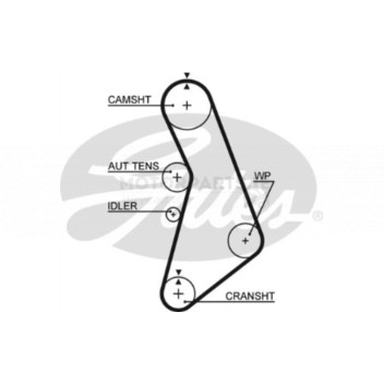 Image for Timing Belt