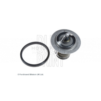 Image for Thermostat