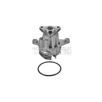 Image for Water Pump