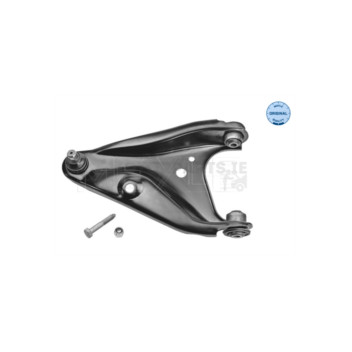 Image for Track Control Arm