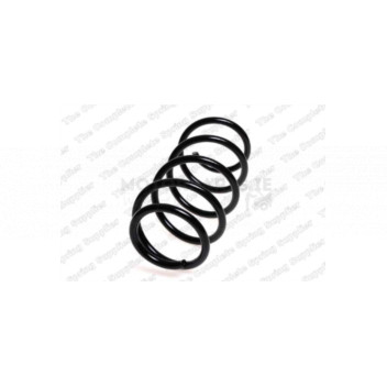 Image for Coil Spring