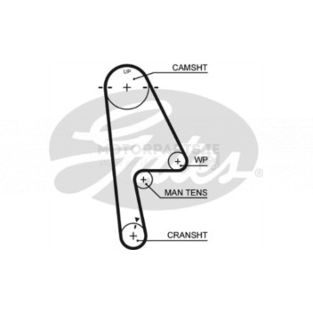Image for Timing Belt