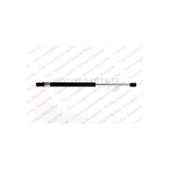 Image for Gas Spring