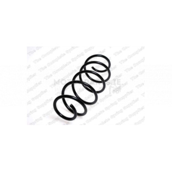 Image for Coil Spring