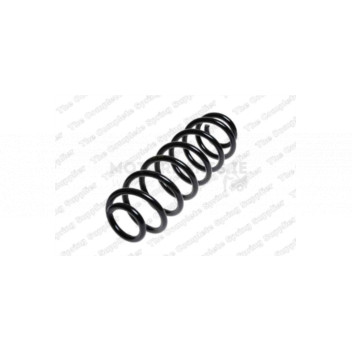 Image for Coil Spring