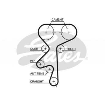 Image for Timing Belt