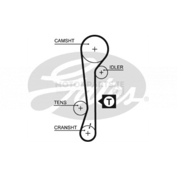 Image for Timing Belt