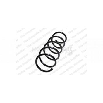 Image for Coil Spring