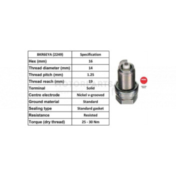 Image for Spark Plug