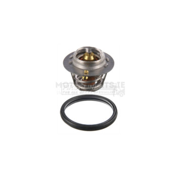 Image for Thermostat