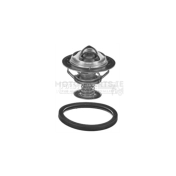 Image for Thermostat