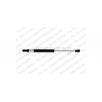 Image for Gas Spring