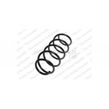 Image for Coil Spring