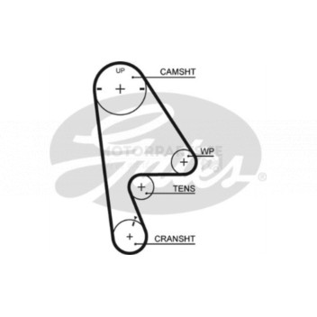 Image for Timing Belt