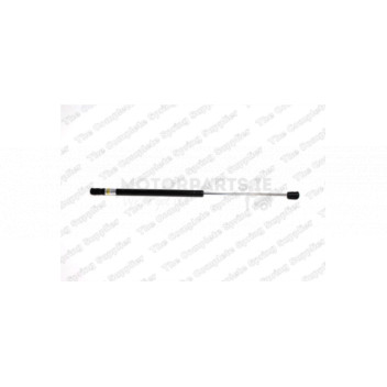 Image for Gas Spring