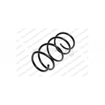 Image for Coil Spring