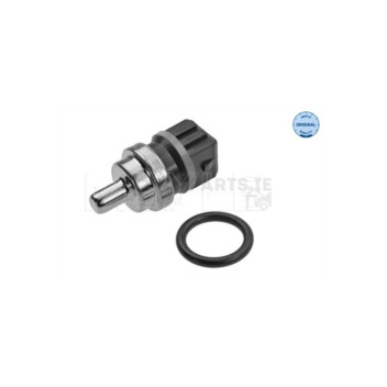 Image for Temperature Transmitter