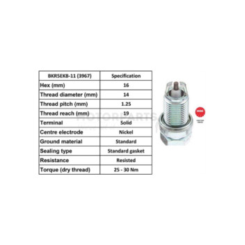 Image for Spark Plug