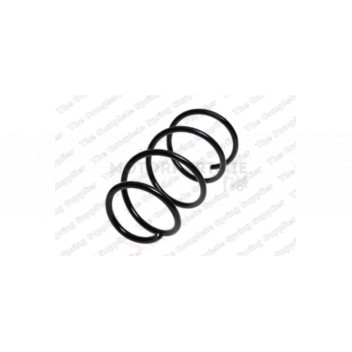 Image for Coil Spring