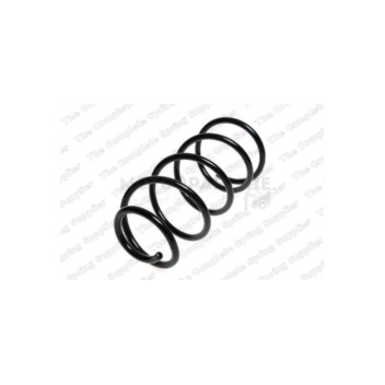Image for Coil Spring